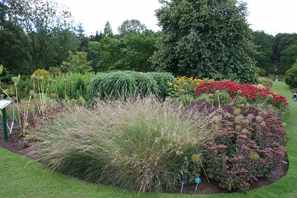 Harlow Carr flower border