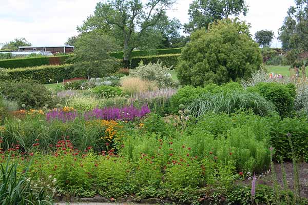 Harlow Carr flower beds