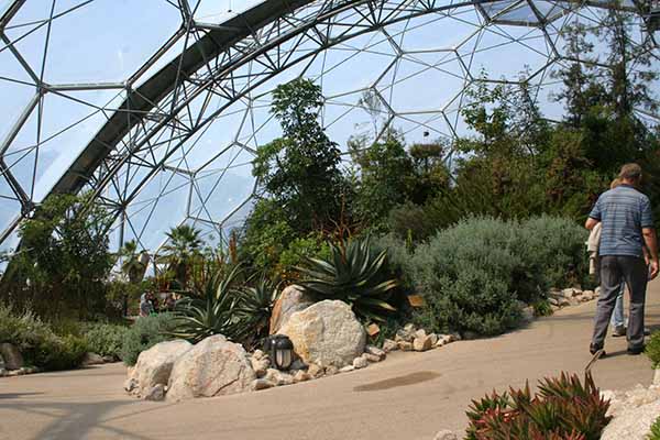 Inside the Mediterranean Biome at the Eden Project