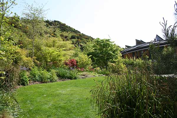 Eden Project gardens