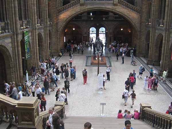 Natural HIstory Museum