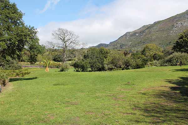 Kirstenbosch Gardens