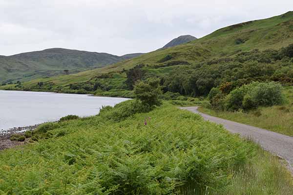 Highland road and Loch