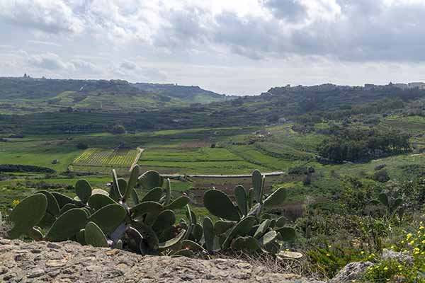Gozo countryside