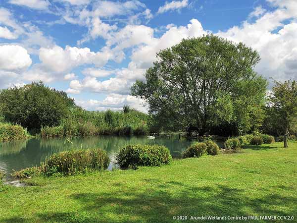 Arundel Wetland Centre