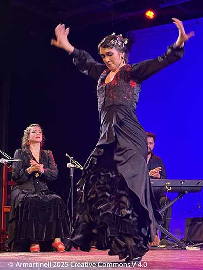 Flamenco dancer