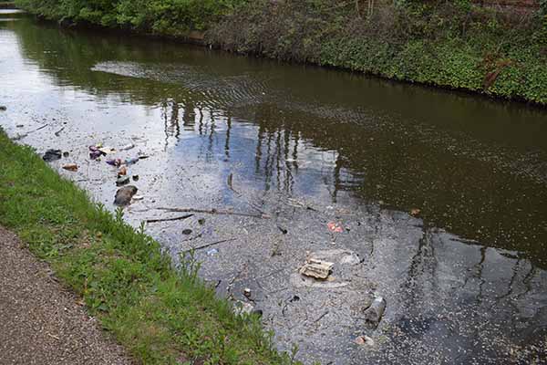 Grand Union Canal Rubbish