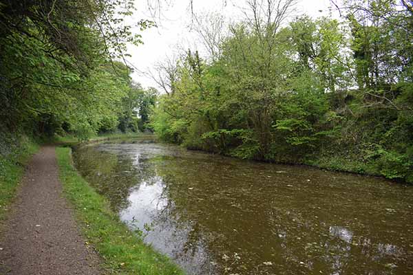 Grand Union Canal Tring