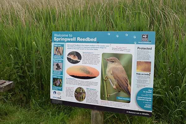 Grand Union Canal Springwell