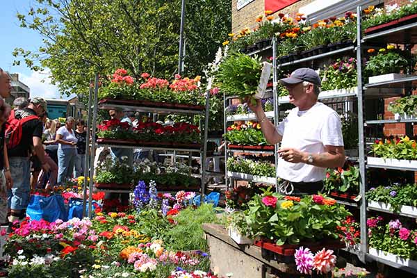 Columbia Road Flower Market