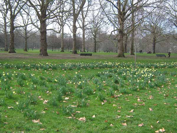 Green Park