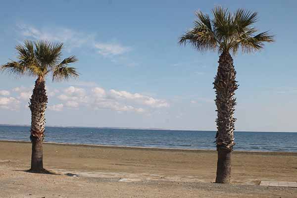 Tropical beach