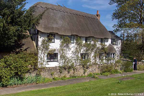 Thatched cottage