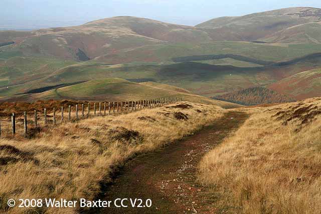 The Cheviots